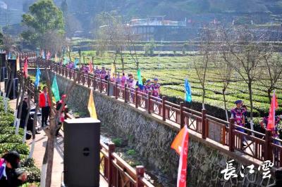 峡州茗香溢三峡，“湖北早市茶之乡”开园迎宾客