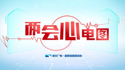 来！看看你的两会“心”电图