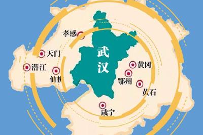 武汉都市圈“一圈通办”事项将达460项