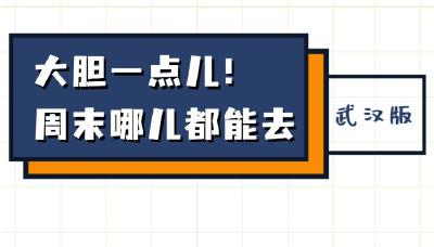 高铁3小时，你能去的地方有很多！