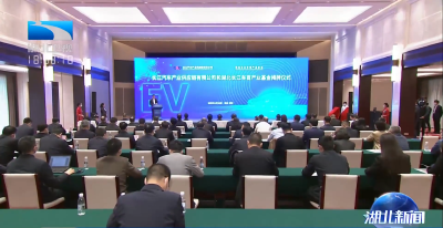 长江汽车产业供应链有限公司和湖北长江车百产业基金成立 王忠林揭牌