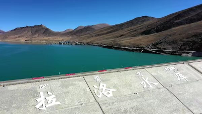 4305.21米！湖北企业一作品获吉尼斯世界纪录 