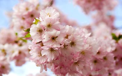 春季适当减重可护肝，但方法不能是这个