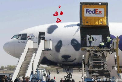 丫丫回国！网友纷纷“云接机”