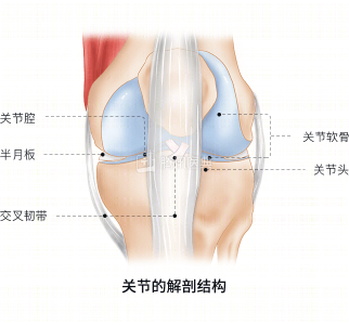 长期掰手指和从不掰的人，谁的关节更健康？答案让人意外