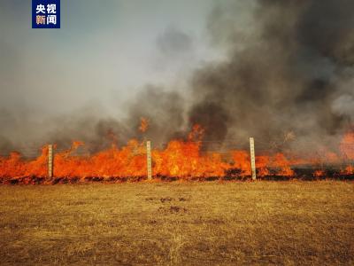 内蒙古消防堵截蒙古国草原大火入境，中蒙边境线明火已扑灭