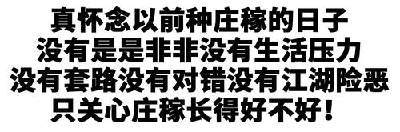 衰老时身体先知道，想要延缓衰老这几点很重要