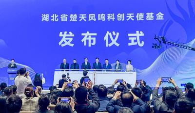 100亿！楚天凤鸣科创天使基金落地光谷
