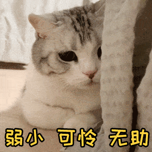 不爱开窗的人更容易脑萎缩？这5个常见习惯很伤脑，而你却天天在做