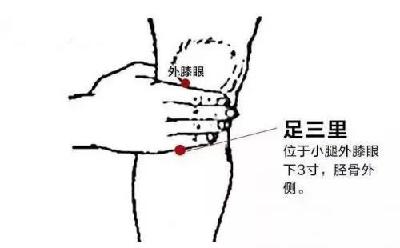 体质太差的人要补脾胃！中医健脾秘诀全奉上