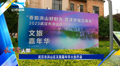 武汉市洪山区文旅嘉年华火热开启 