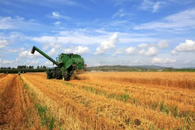 全国春播粮食进度约90% 5月底冬小麦将大面积收获