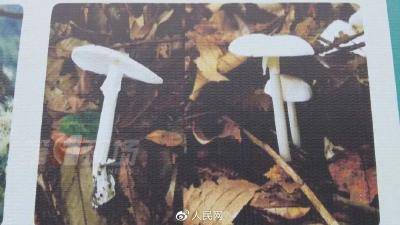 “挖呀挖呀挖”太上头？这些可千万别“挖”!