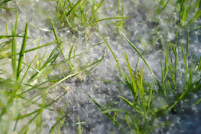 车祸之源：这些药物可能会让你犯困、头晕、注意力不集中......开车需谨慎！