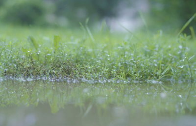 未来三天湖北风雨来袭气温降 西部北部降水较强