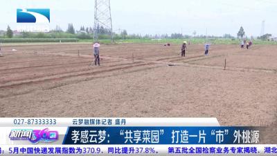 “共享菜园” 打造一片“市”外桃源