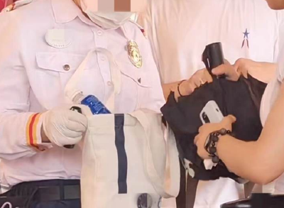 游客进入上海迪士尼又遇“翻包检查”，迪士尼工作人员：入园必须安检，部分食物不能入园