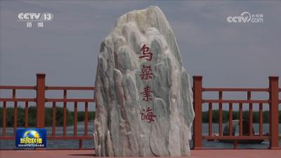 勇担使命不畏艰辛久久为功 在建设美丽中国上取得更大成就——习近平总书记在内蒙古巴彦淖尔考察并主持召开加强荒漠化综合防治和推进“三北”等重点生态工程建设座谈会在广大干部群众中引起强烈反响