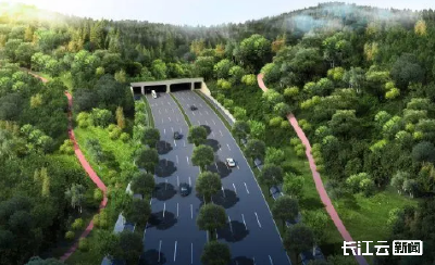 首条！武汉新建市政道路专设小动物通道