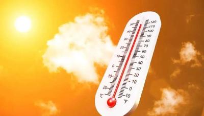 北半球极端高温引担忧，德媒：今年可能是全球有记录以来最热一年