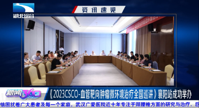 CSCO-血管靶向肿瘤微环境治疗襄阳站巡讲