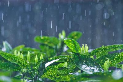 未来三天，湖北阵雨不断，闷热难耐还有局地强对流