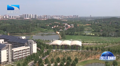 孙伟在咸宁调研时强调 为大力实施强县工程全面推进乡村振兴凝心聚力