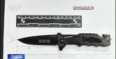 管制刀具、活体动物……注意！坐火车这些东西不能带