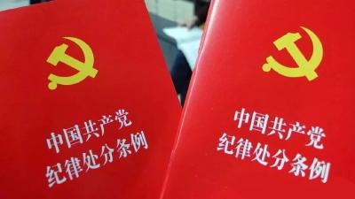 河北省人大常委会原党组成员、副主任王雪峰严重违纪违法被开除党籍