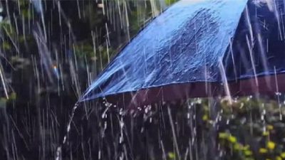 一大早预警连发！暴雨雷电，9级阵风……