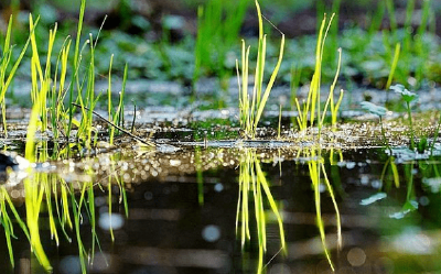 湖北未来三天晴雨转换频繁 今天高温暂休