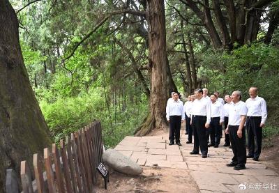 学习进行时丨习近平总书记和四川的故事