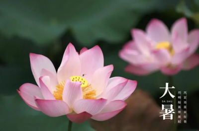今日大暑，夏天最后一个节气