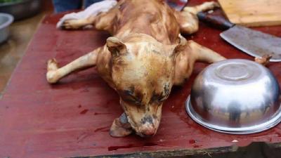 网民投诉长沙一市场贩卖狗肉，官方回应！