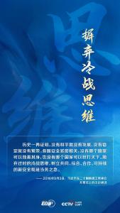 跟着习主席看世界｜坚持遵守联合国宪章宗旨和原则