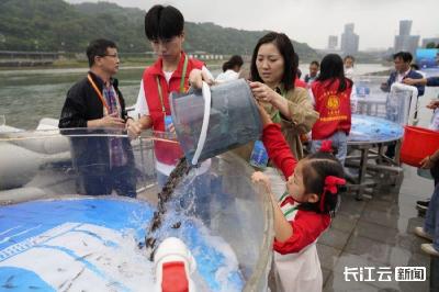 超85万尾长江上游珍稀特有鱼类放归长江