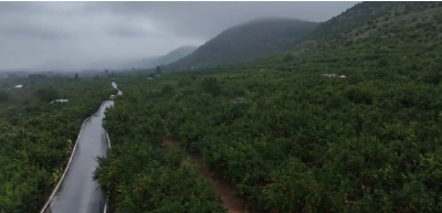 总书记考察的这个地方 让老百姓“榴”住幸福