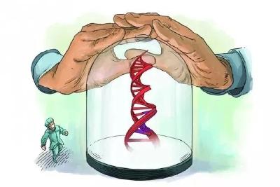 小小基因如何引发生物安全“龙卷风”