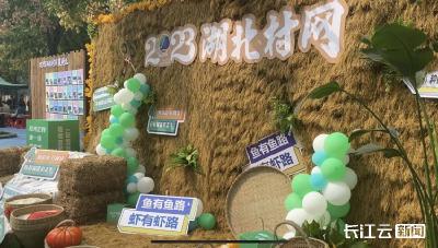 ​“村网”来了！中国网球之乡京山迎来激情体育盛宴     
