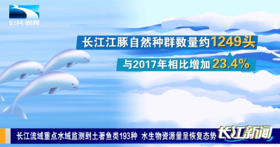 长江流域重点水域监测到土著鱼类193种 水生物资源量呈恢复态势