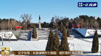 英雄安息——第十批在韩中国人民志愿军烈士遗骸安葬仪式直播