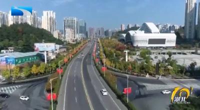 学思想 强党性 重实践 建新功 | 湖北：严督实导 推动第二批主题教育走深走实