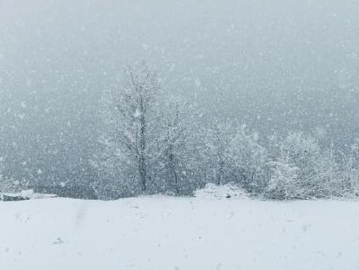 东北雨雪天气将进入最强时段