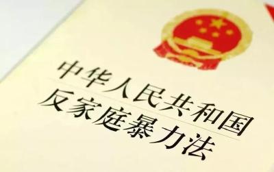 引导家长“依法带娃” 最高法发布反家庭暴力典型案例