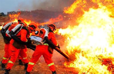 精锐尽出！“森林火灾”陆空作战震撼上演