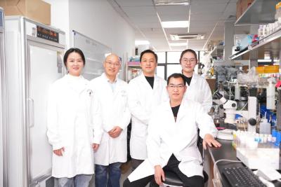 武汉大学最新成果亮相！揭示肿瘤与肾脏互作的新机制