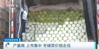 0.2元一斤！这才是真正的“白菜价”