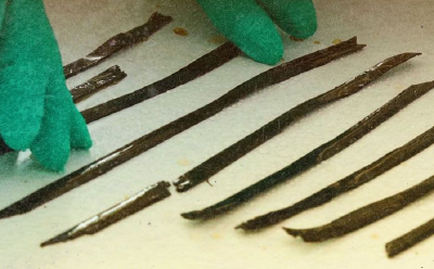 湖北发现目前出土战国楚简数量、文字最多的墓葬