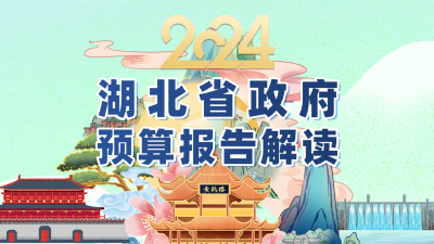 2024年湖北省政府预算报告解读