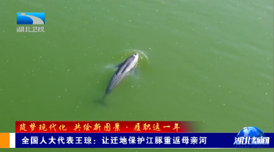 全国人大代表王琼：让迁地保护江豚重返母亲河